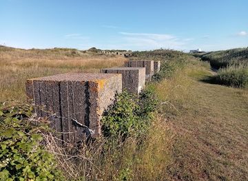 united-kingdom/southwold/attraction/rspb-minsmere