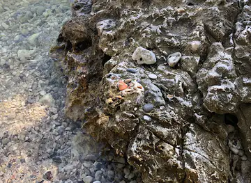 Stone Exhibition
