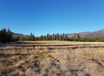 montana/eastern-montana/attraction/snowbowl