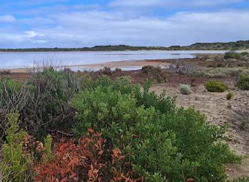 australia/coorong/attraction/sandpiper-campground