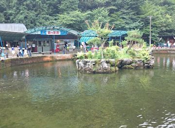 japan/etchu/attraction/otaki-limestone-cave