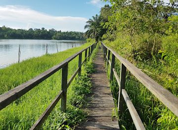 indonesia/balikpapan/attraction/hutan-lindung-sei-wain