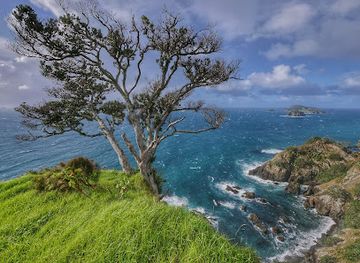new-zealand/northland/attraction/rainbow-warrior-memorial