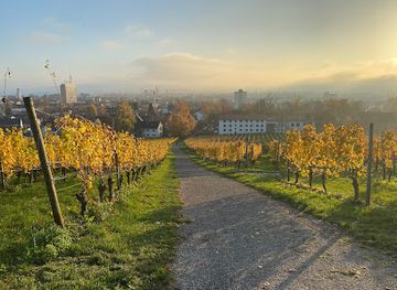 germany/lake-constance/attraction/bismarckturm-konstanz