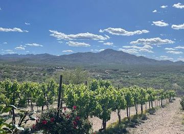 arizona/tucson/attraction/charron-vineyards