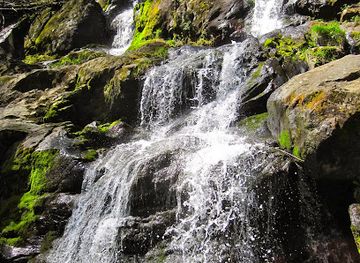 virginia/skyline-drive/attraction/dark-hollow-falls-trailhead