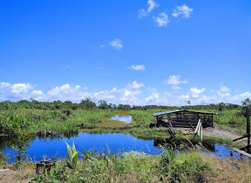 guyana/skeldon/attraction/chris-ranch