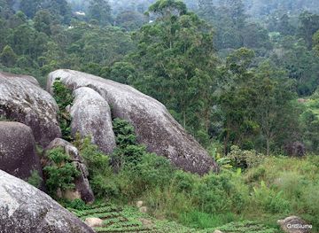 cameroon/forest-region/attraction/grotte-fovu-baham