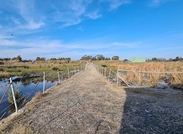 cyprus/kourion-archaeological-site/attraction/akrotiri-marsh