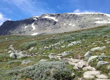 norway/geilo/attraction/prestholtseter