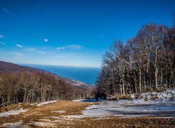 greece/mount-pelion/attraction/xania-pelioy-dasos