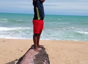 benin/ouidah-beach/attraction/hillacondji-beach