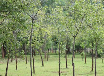 sri-lanka/wilpattu-national-park/attraction/adhitya-herbal-estate-and-wedha-gama