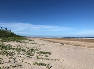 mozambique/zambezia-province/attraction/zalala-beach