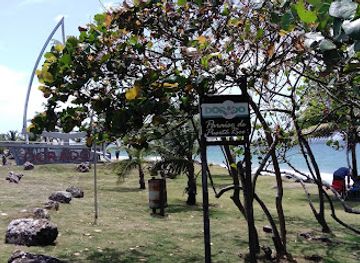 puerto-rico/caribbean-national-forest/attraction/playa-parchola