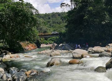 colombia/narino/attraction/reserva-natural-paway