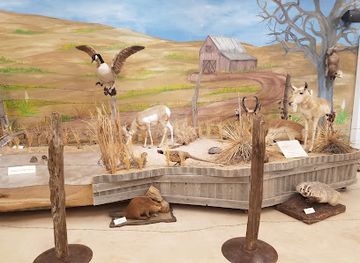 texas/south-plains/attraction/window-on-the-plains-museum