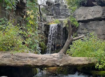 Tennessee Aquarium