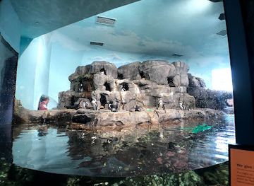 Monterey Bay Aquarium