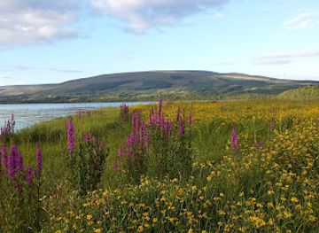 ireland/county-roscommon/attraction/mountallen-eco-tours