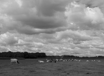 netherlands/sallandse-heuvelrug-national-park/attraction/wandelen-holten