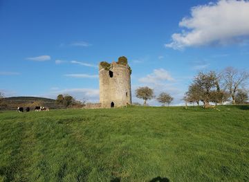 ireland/county-kilkenny/attraction/balief-castle