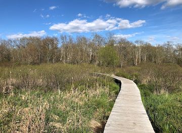 connecticut/mohawk-mountain-ski-area/attraction/white-memorial-conservation-center