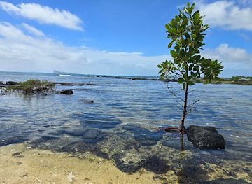 mauritius/trou-aux-biches/attraction/pointe-aux-canonniers-beach