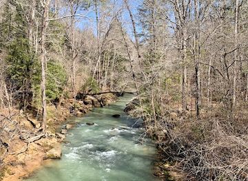 alabama/dismals-canyon/attraction/sipsey-river-picnic-area