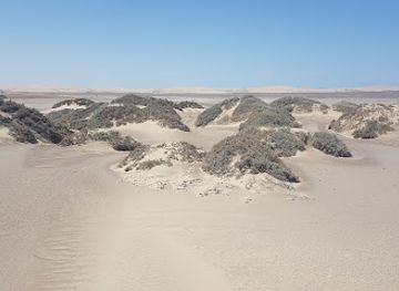 namibia/skeleton-coast/attraction/bile-pisecne-duny