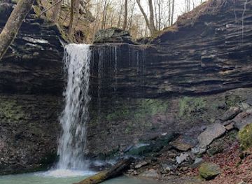 arkansas/ozark-national-forest/attraction/pack-rat-falls