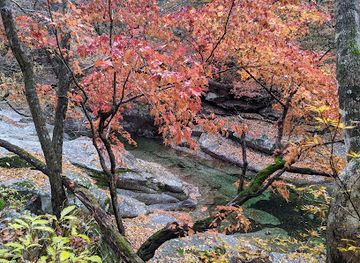 south-korea/jirisan-national-park/attraction/tag-yongso