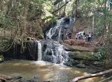 kenya/nairobi/gigiri/attraction/karura-forest-gate-d