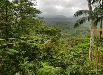 costa-rica/san-jose/attraction/rainforest-adventures-braulio-carrillo