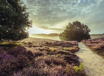 netherlands/veluwe/attraction/herikhuizerveld