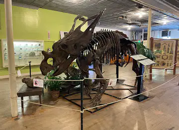 Buena Vista Museum of Natural History & Science