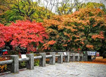 south-korea/naejangsan-national-park/attraction/Geumseon-waterfall