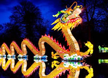 kentucky/outer-bluegrass/attraction/wild-lights-at-the-louisville-zoo