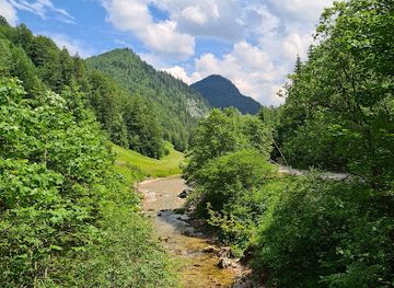 romania/apuseni-mountains/attraction/cheile-gardisoarei