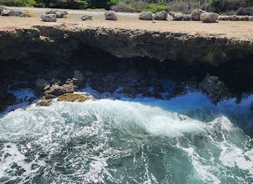 curacao/curacao-ostrich-farm/attraction/boka-broosa