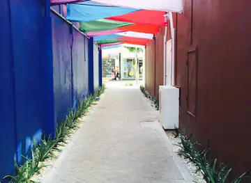 Rose Alley