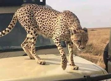 tanzania/kilimanjaro-region/attraction/unique-africa-tours