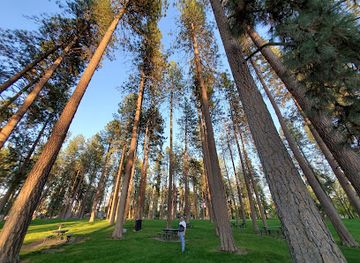 washington/spokane-river/attraction/audubon-park