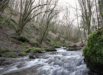 luxembourg/upper-sure-natural-park/attraction/wasser-sinnes-weg