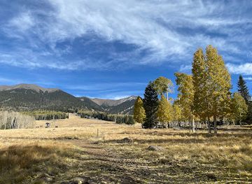 arizona/san-francisco-peaks/attraction/aspen-nature-loop
