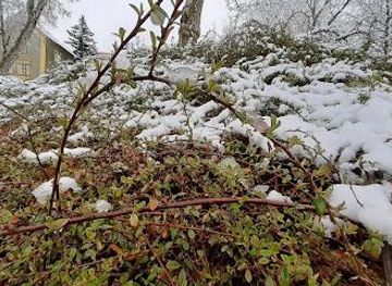 croatia/zagreb/attraction/art-park