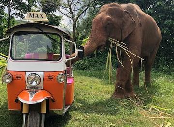 thailand/chiang-mai/attraction/the-tuk-tuk-club