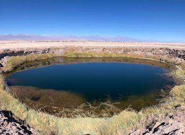 chile/antofagasta-region/attraction/ojos-del-salar