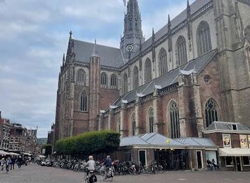 netherlands/haarlem/attraction/de-vishal