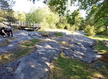 norway/fredrikstad/attraction/gullskar-rock-carving-field